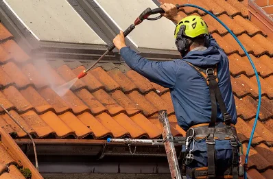 Démoussage et hydrofuge de toiture à Plésidy